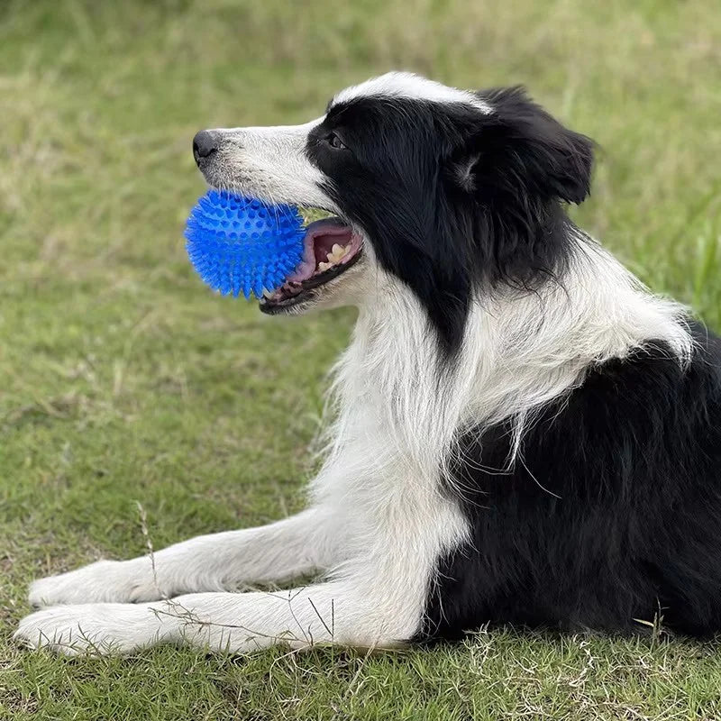 Interactive Spiked Dog Ball
