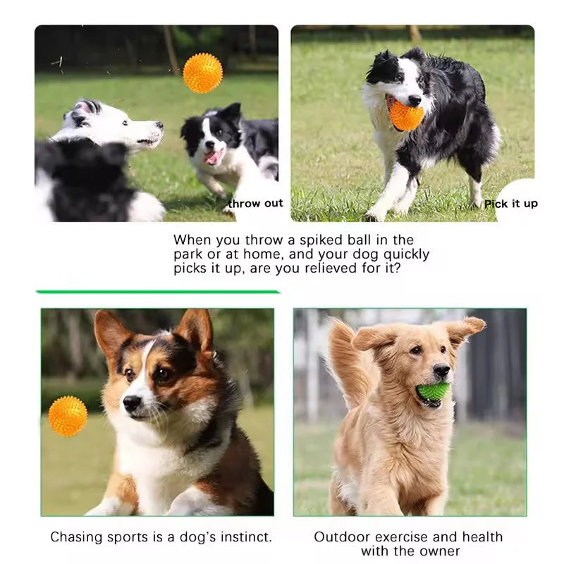 Bola Interativa para Cães com Picos