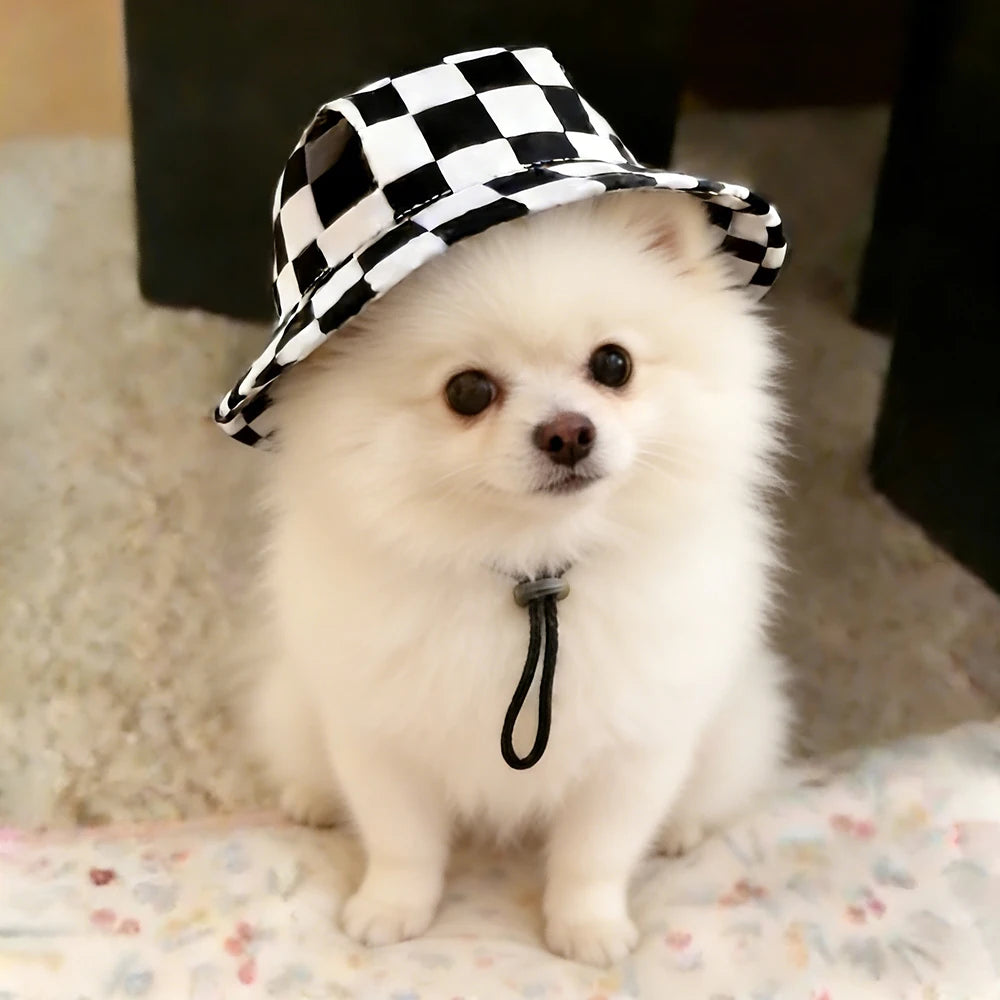 Boné Ajustável para Cães
