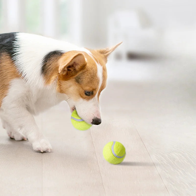 Bola de Ténis Interativa para Cães