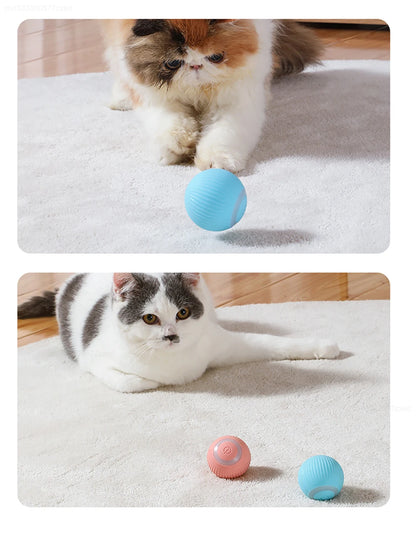 Bola Inteligente Interativa para Gatos