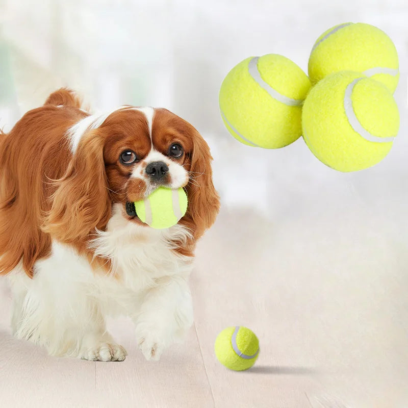 Bola de Ténis Interativa para Cães