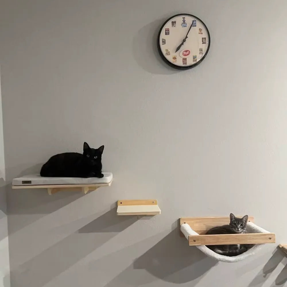 Parque de Escalada Modular para Gatos